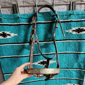 Leather horse show halter